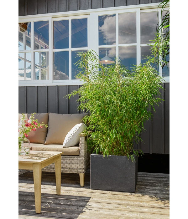 Dehner Kunststoff-Blumenkübel Palermo, Anthrazit – Bild 11