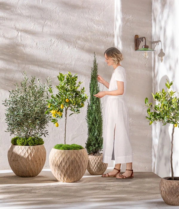 Dehner Terrakotta-Topf Imperia, Rund, Antik-terrakotta – Bild 6