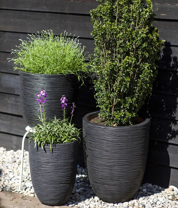 Capi Europe Kunststoff-Topf Rib Hoch, Rund – Bild 2