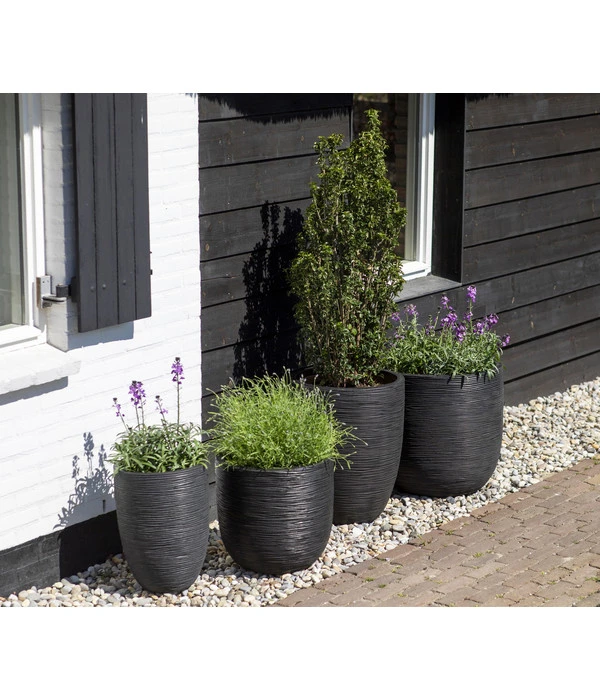 Capi Europe Kunststoff-Topf Rib Hoch, Rund – Bild 3