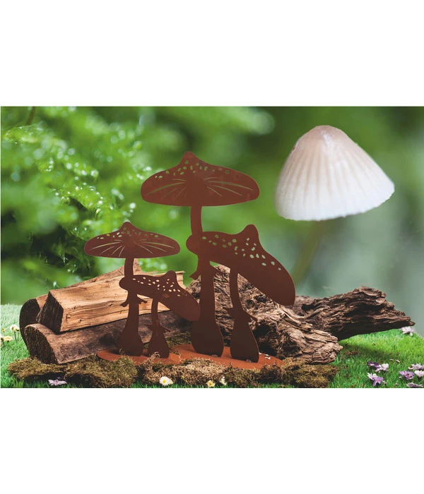 Ferrum Rost-Fliegenpilz – Bild 2