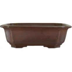 Bonsaischale 21.5x21.5x6.5cm Dunkelbraun Sonstige Form Unglasiert