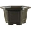 Bonsaischale 27.8x27.8x17.3cm Dunkelbraun Sechseckig Kunststoff